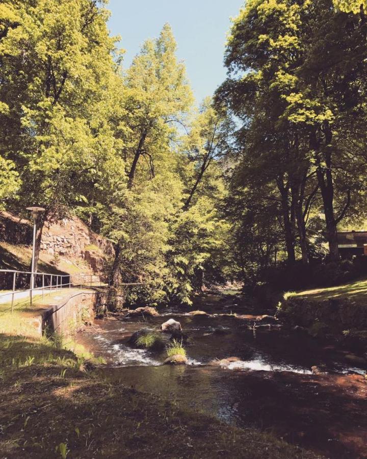 Apartmán Schwarzwald Maedl Bad Wildbad Exteriér fotografie