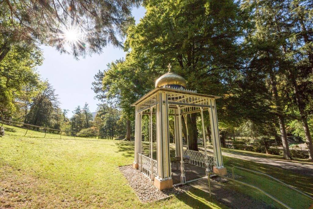 Apartmán Schwarzwald Maedl Bad Wildbad Exteriér fotografie
