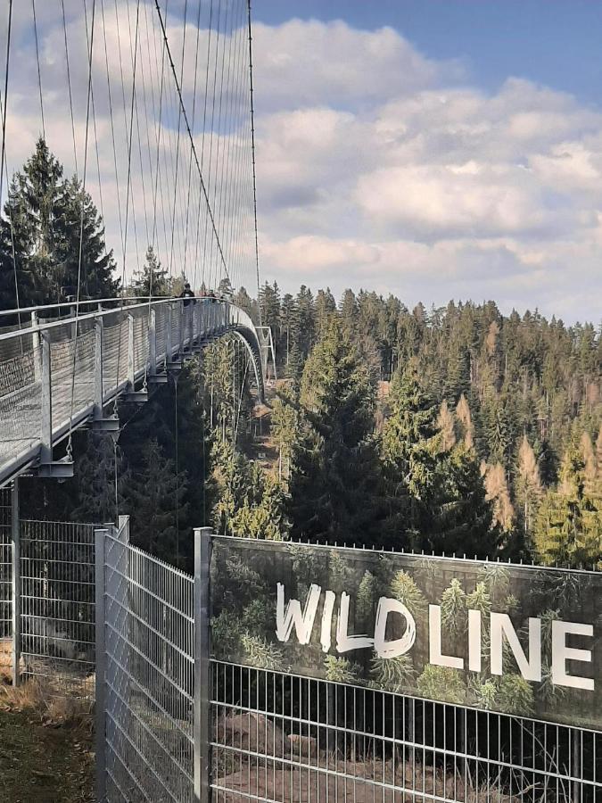Apartmán Schwarzwald Maedl Bad Wildbad Exteriér fotografie