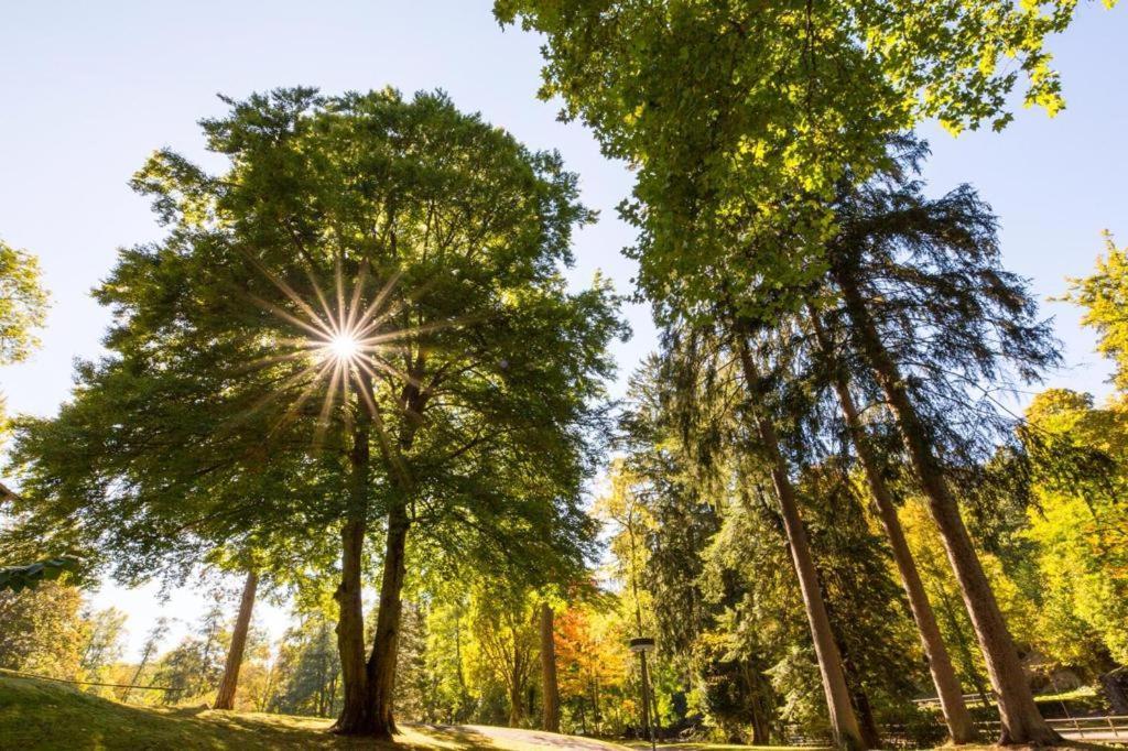 Apartmán Schwarzwald Maedl Bad Wildbad Exteriér fotografie
